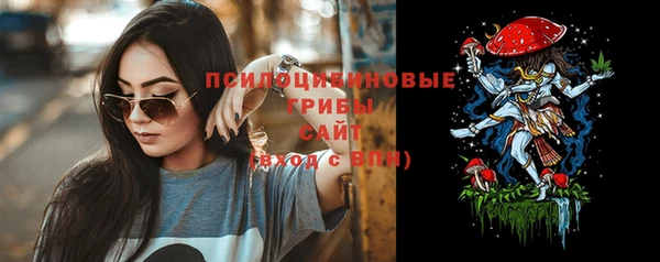 гидра Касимов