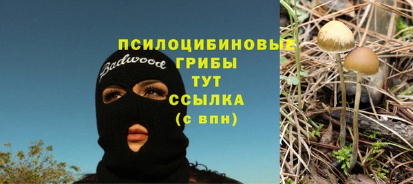 гидра Касимов