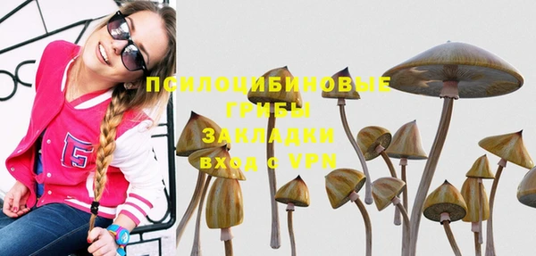 ALPHA PVP Карпинск