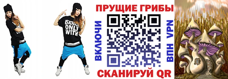Купить где  Черепаново  Галлюциногенные грибы MAGIC MUSHROOMS 