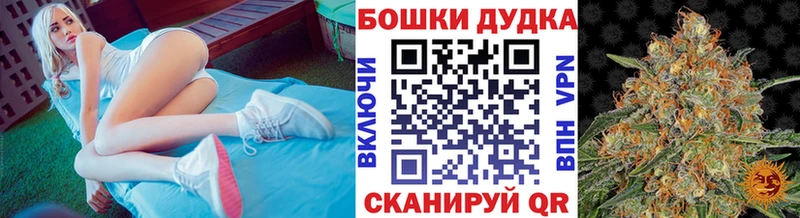 Купить где  Черепаново  Конопля план 